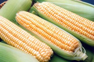 Як варити кукурудзу в качанах - в каструлі, мультиварці, мікрохвильовці і пароварці-скороварці