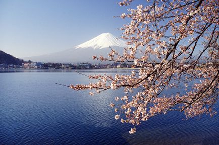 Cum să se comporte unui turist din Japonia