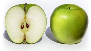 Як вирощувати яблуню з насіння (кісточки) заготівля насіння, догляд за саджанцями