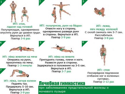 Як відновити потенцію народні методи, ліки, гімнастика