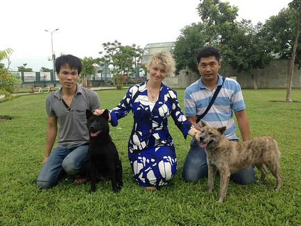 Cum am condus o clasă de masterat în Vietnam - orașul zooinform
