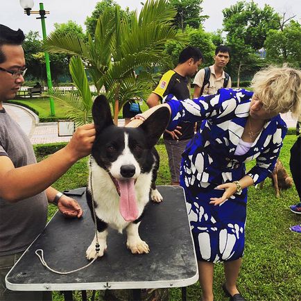 Cum am condus o clasă de masterat în Vietnam - orașul zooinform