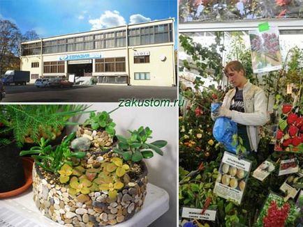 Календар садово-ландшафтних виставок-ярмарків в КВЦ «євразія» на 2017 рік, дачну ділянку