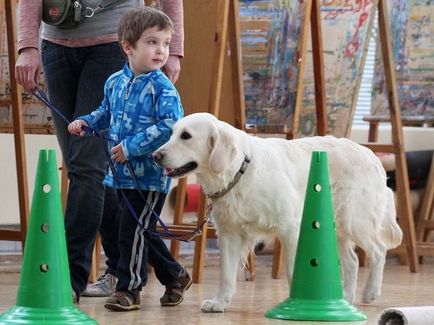 Canistherapy ca un câine trăiește oameni, câini balabaki