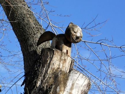 Київські пам'ятники котам і кішкам