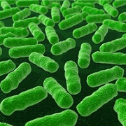 Antiseptice intestinale pentru enterofuril disbacterioză, loperamidă, ersefuril, nifuroxazidă