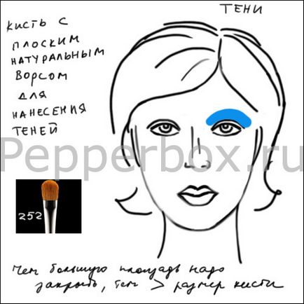 Perii pentru make-up, fotograf și machiaj artist Olga Yekateryncheva