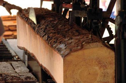 Coeficient de producție de cherestea din lemn rotund