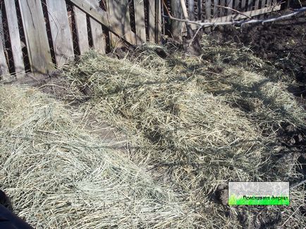 Коли садити картоплю у відкритий грунт в Підмосков'ї, в краснодарському краї, домашня ферма