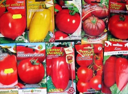 Коли садити помідори на розсаду вибираємо терміни для посадки томатів