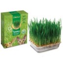 Pisoii pentru pisici - kogtedralka domestic - cu catnip (mare), 56x30x3, 5 cm, cumpara de la