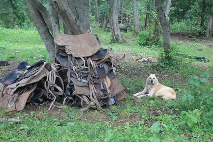 Кінний туристичний маршрут, знову в дорогу