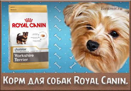 Корм для собак royal canin, відгуки, виробник