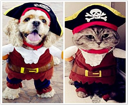 Костюм пірата для кішок і собак купити, ціни, відгуки, фото, відео