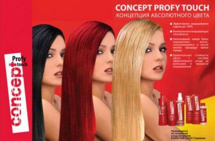 Vopsea pentru concept de păr (concept) - paletă profesională