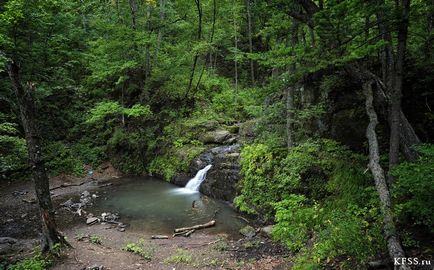 Cascade Kravtsovskiy, kfss