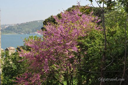 Fortress Rumeli HISSAR (Rumeli Hisari) a