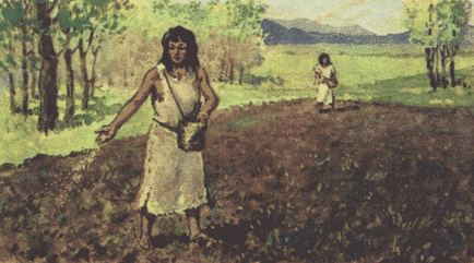 Хто навчив людство землеробства і сільського господарства - таємниці історії - новини