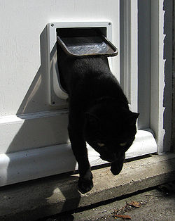 Cine a inventat usa pentru pisicile domestice?