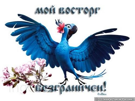 Хто знає, як правильно жити і любити вірші і проза россии