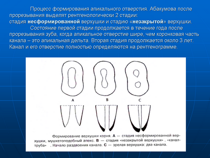 Курс лекцій за фахом «дитяча стоматологія» минск БелМАПО