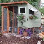 Chicken coops poze 40 de pui de pui frumoase în țară