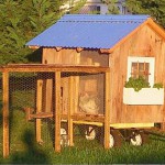 Chicken coops poze 40 de pui de pui frumoase în țară