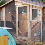 Chicken coops poze 40 de pui de pui frumoase în țară