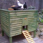 Chicken coops poze 40 de pui de pui frumoase în țară