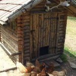 Chicken coops poze 40 de pui de pui frumoase în țară