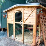 Chicken coops poze 40 de pui de pui frumoase în țară