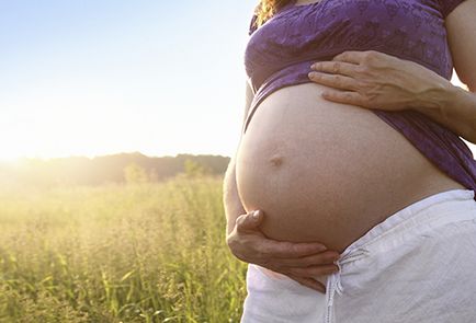 Babérlevél haj előnyös tulajdonságait infúziók, főzetek és illóolajok