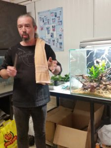 Előadás - low-tech akvárium dekoráció, naiv növények (low-tech) Előadás - low-tech akvárium dekoráció, naiv növények