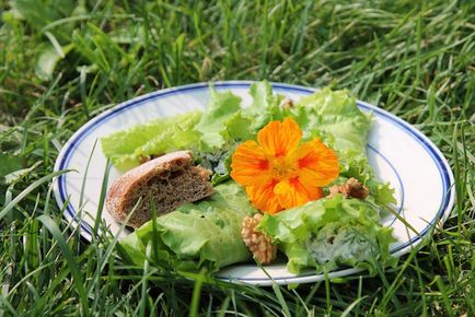 Gustări de vară cu salată, mâncare