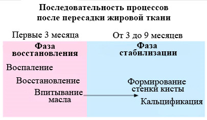 Maria G. Levitsky, Saruhanov Georgy - Útmutató lipofilinga