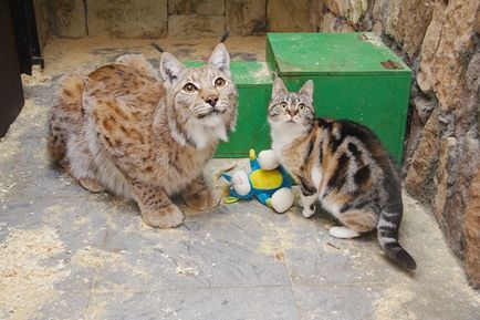 Linda și Dusya sunt prieteni inseparabili