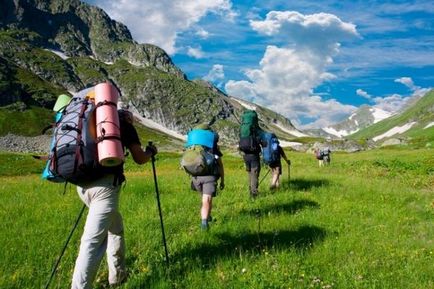 Elk acarian este un pericol ascuns într-un parazit