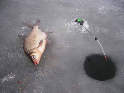 Catching podleschika - vadászati ​​és halászati ​​Oroszországban és külföldön