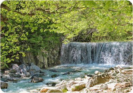 Лутра зазіхнув Арідея