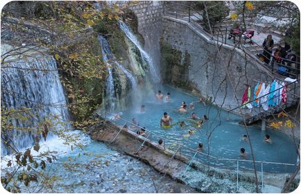 Лутра зазіхнув Арідея