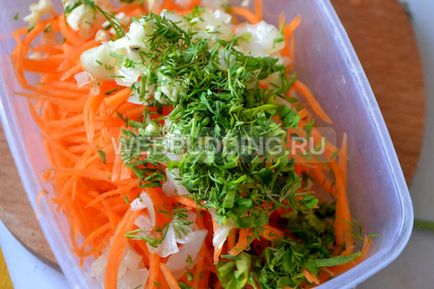 Savanyú káposzta tekercs recept fotókkal, hogyan kell főzni (szakács) Savanyú káposzta tekercs recept fotókkal, hogyan kell főzni