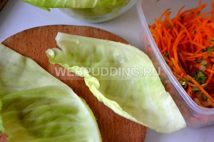 Savanyú káposzta tekercs recept fotókkal, hogyan kell főzni (a recept) Savanyú káposzta tekercs recept fotókkal, hogyan kell főzni