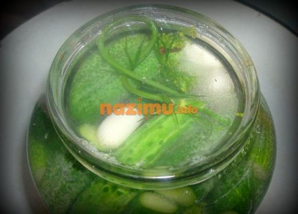 Мариновані огірки з кропом і часником - рецепт з фото на зиму
