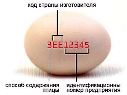 Etichetarea ouălor de pui în Europa
