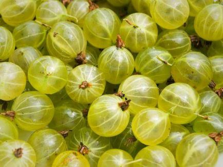 Маска за лице цариградско грозде рецепти у дома за акне, със сирене, ревюта