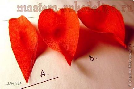 Майсторски клас Цветари червено цвете от креп хартия