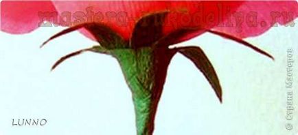 Майсторски клас Цветари червено цвете от креп хартия