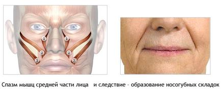 Mituri despre îmbătrânirea pielii feței