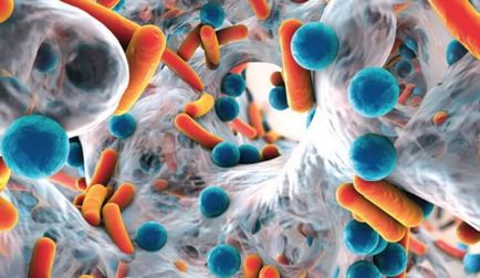 Metode biofilm microbiene de diagnostic, tratament și prevenire