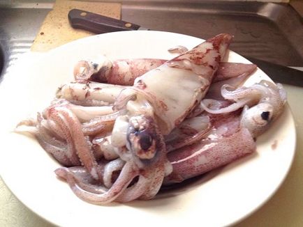 Saját receptek sült tintahal gyűrűk, rántott, hogyan kell elkészíteni egy recept hagymával, ropogós, fotók (tintahal) Saját receptek sült tintahal gyűrűk, rántott, hogyan kell elkészíteni egy recept hagymával, ropogós, fotók
